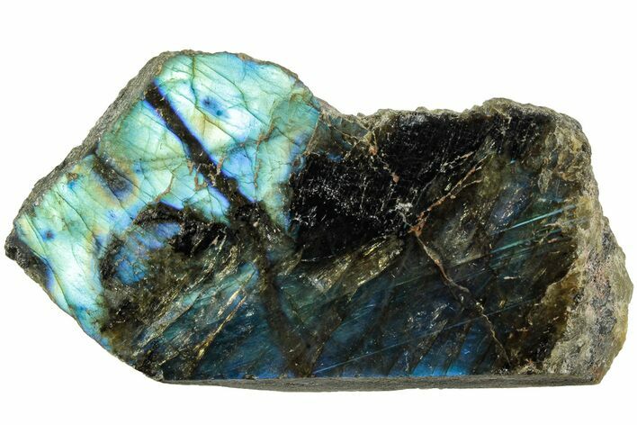 Single Side Polished Labradorite Section - Madagascar #238241